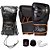 Kit Boxe Muay Thai Naja Preto/Dourado 16oz - Imagem 1