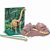 Kit de Escavação 4M Kidzlabs Dinossauros - Braquissauro - Imagem 2