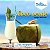 Polpa de Coco Verde (10 unidades de 100 g) - Imagem 1