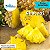 Abacaxi Fruta 1kg - Imagem 1