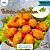 Bolinho de Bacalhau Português 390g - Imagem 1
