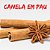 Canela em Pau - Imagem 1