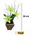 VASO DECORATIVO LÍRIO TOP 2944 - Imagem 1
