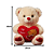 PELUCIA URSO 30CM PR1365 - Imagem 2