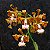 Cattleya Velutina - Tamanho 3 - Imagem 1