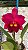 Blc. (Exotic Dream x Chia Lin) Red 4 - Vegetal - Imagem 1