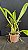 Blc. Amazing Thailand 'Gold Star' 1 - 2 Espatas com botoes - Imagem 2