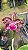 Blc. Durigan Gemini 4 - Botoes - Imagem 1
