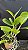 Blc. Durigan Gemini 10 - Botoes - Imagem 2