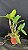 Blc. Durigan Gemini 11 - Botoes - Imagem 2