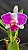 Blc. Aqui Finn 'Nature Best' - *Black Friday* - Imagem 1