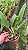 Blc. Aqui Finn 'Nature Best' - *2 UNIDADES - ATACADO* - Imagem 3