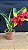 Blc. Nobile's Tropical Sunset 'Kinriu' - 2 Flores + Vaso Cheio - Imagem 1
