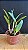 Blc. Durigan Poseidon 1 - Vegetal - Imagem 2