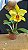 Blc. Suzuki's Golden Stripes - Florida + Vaso Cheio - Imagem 1
