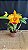 Blc. (Mirian Suzuki x Rodrigo Suzuki) 2 - 2 Frentes com Flores - Imagem 1