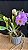 Blc. Turandot Guaxupe 11 - 3 Frentes com Flores (TOP) - Imagem 1