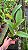 Blc. Candelario Garcia 'Original' - Adulta - Imagem 3
