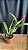 Blc. Chia Lin 'New City' - Botao - Imagem 2