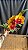 Blc. Yingluck Smile 'Heart of Gold' - 3 Flores + Vegetal Top - Imagem 1