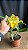 Blc. Moon Star 1 - 3 Flores Abertas - Imagem 2