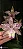 Cattleya Marie Haga 'Freckles' 1 - Vegetal Cheio - Imagem 1