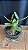 Cattleya Schilleriana Semi Alba 'Super Green' 5 - Vegetal - Imagem 2