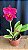Blc. Village Chief Armani 3 - Florida (Perfeita) - Imagem 1