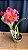 Blc. (Macki Flare x Hall of Fame) - Rosa / Amarela / Salmao - Imagem 1