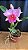 Blc. (Macki Flare x Hall of Fame) - Rosa Flameada - Imagem 1