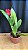 Blc. (Exotic Dream x Chia Lin) Red - Florida - Imagem 2