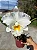 Cattleya Burdekin Bride 'Wenzel' 1- - 2 Frentes com Botoes - Imagem 1