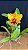 Blc. Mirian Suzuki 'Sunset' - Florida + Frente com Espata (Vaso Cheio( - Imagem 1