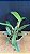 Cattleya Maxima 4 - Vegetal - Imagem 2