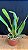 Blc. Exotic Dream 'Original' 3 - 2 Espatas Florais (Botao) - Imagem 2