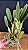 Cattleya (Colorama x Irene Finney) - 2 Frentes com Botoes - Imagem 2