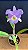 Bc. (Pastoral x Turandot Guaxupe) 3 - Florida - Imagem 1