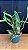 Blc. Hawaiian Wedding Song 'Virgin' 3 - Espata Floral - Imagem 2