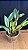 Blc. Dream Paradise 2 - Botoes (Vegetal Antigo) - Imagem 2