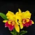 Blc. Chunyeah #17 - Botoes + Vaso Cheio - Imagem 1
