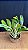 Blc. Chunyeah #17 - Botoes + Vaso Cheio - Imagem 2