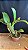 Blc. Chia Lin 'New City' - 2 Botoes - Imagem 2