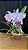 Cattleya Lueddemanniana Coerulea 1 - 2 Flores GIgantes (Top) - Imagem 1