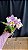blc. (william farrel 'pastel parade' x mini song petite) - 2 flores flameadas - Imagem 1