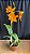 Pot. Love Passion 'Orange Bird' 1 - Cacho de Flores - Imagem 1