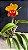 Blc. Chunyeah 17 - Florida - Imagem 1