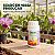 Adubo Plenan para Orquídeas – 300 mL | Usado no Orquidário Suzuki - Imagem 2