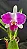 Lc. Aqui Finn 'Nature Best' 2 - 3 Frentes com Botoes - Imagem 1