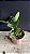 Blc. Durigan Crater - Frente com Botoes - Imagem 2