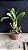 Blc. Memoria Helen Brown 5 - (Vegetal Sensivel) - Imagem 2